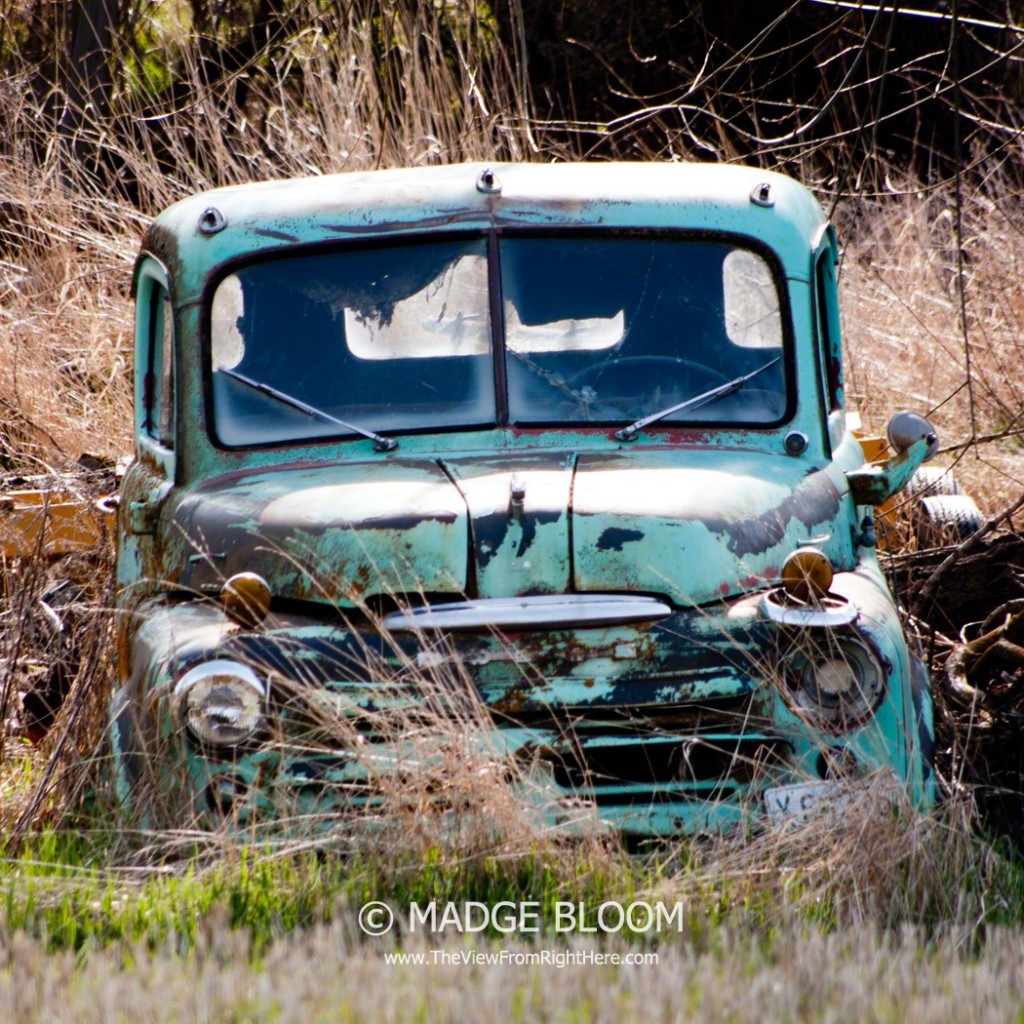 Old Dodge Farm Truck - Near Colfax WA - Whitman County