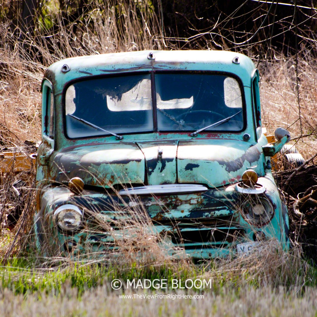 Old Dodge Farm Truck – Rurality Blog Hop #12