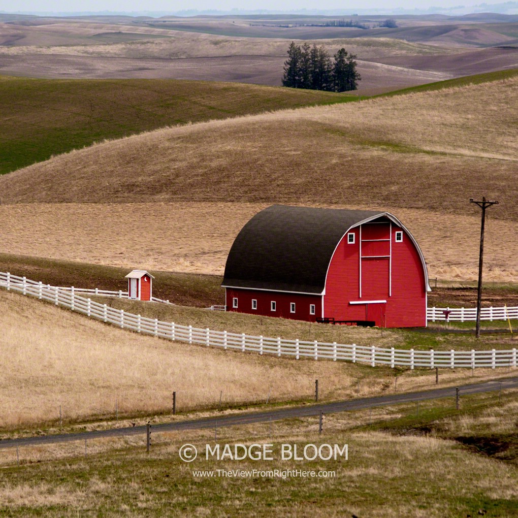 Another Red Barn in the Palouse