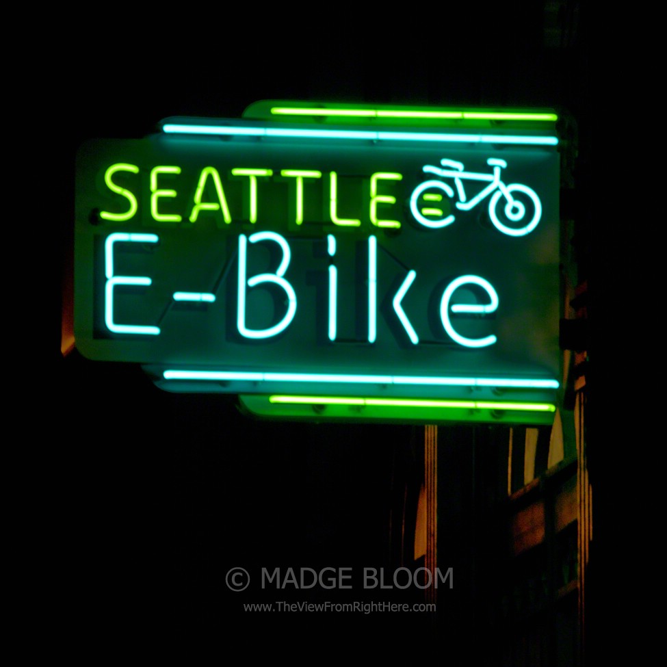 Seattle e-Bike