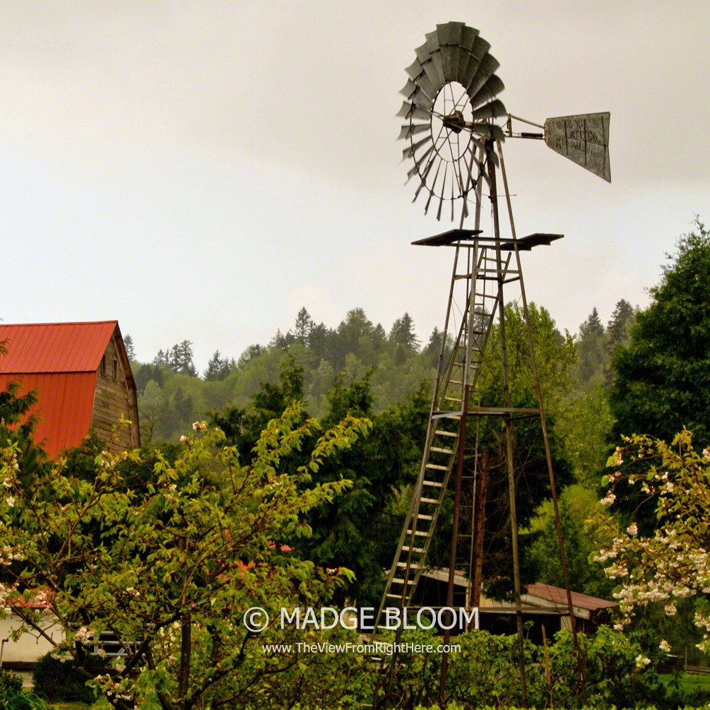 Windmill – Rurality Blog Hop #27