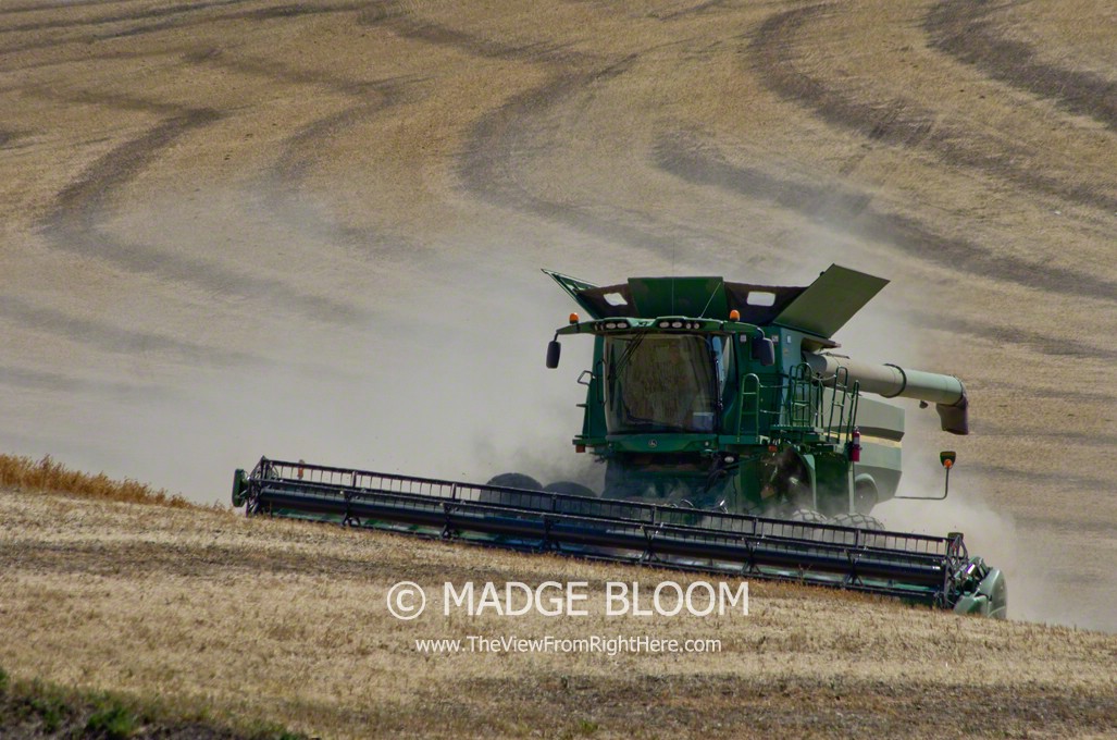 Wheat Harvest – Rurality Blog Hop #29