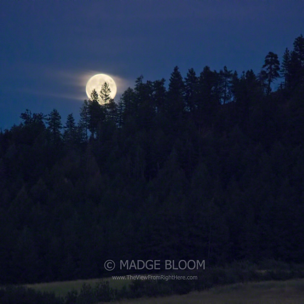 Big Moon – Rurality Blog Hop #31