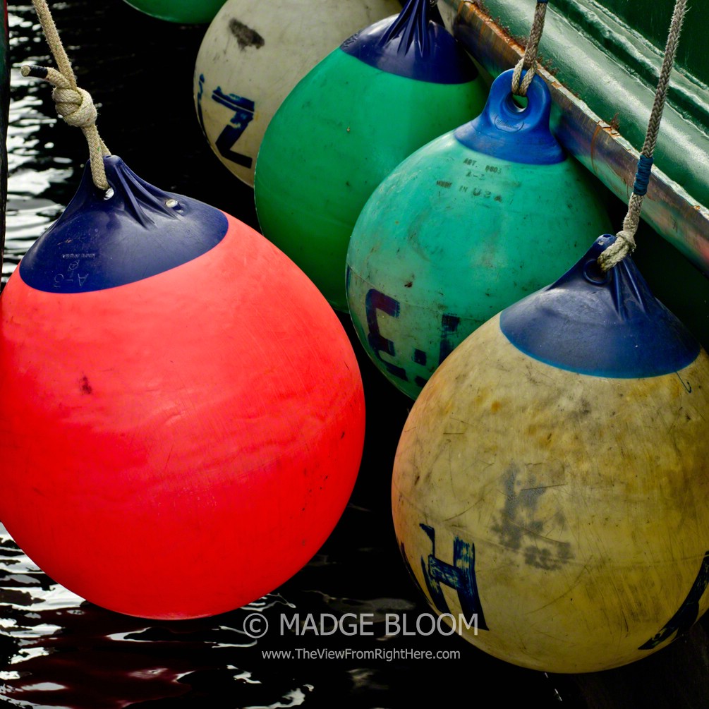 Colorful Buoys – Weekly Top Shot #104