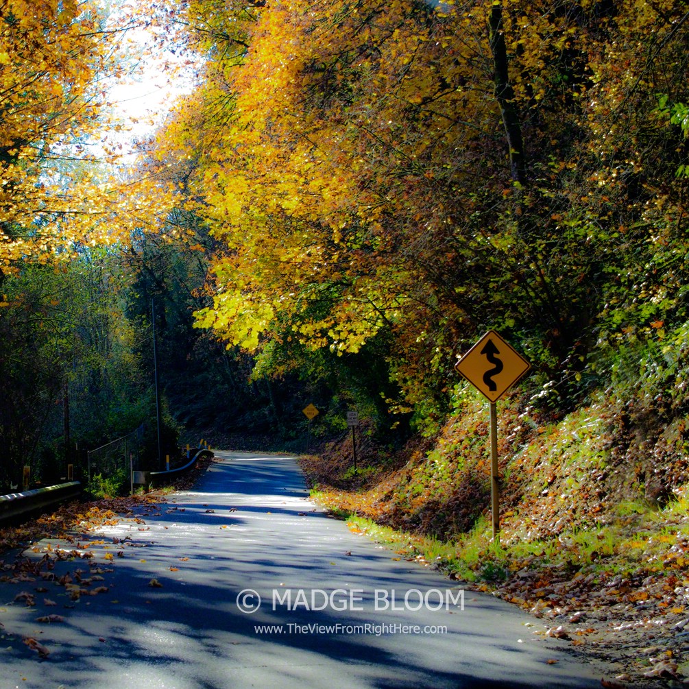Autumnal Rural Road – Rurality Blog Hop #38