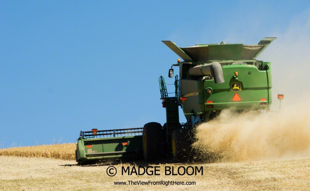 John Deere Combining Wheat - Whitman County WA