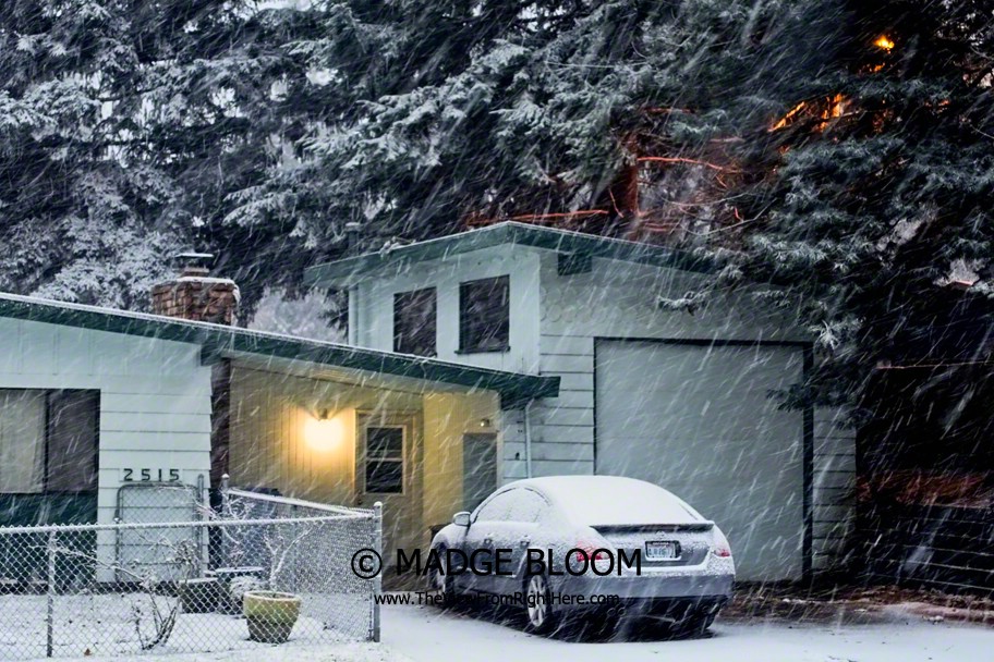 Snowy – Weekly Top Shot #162