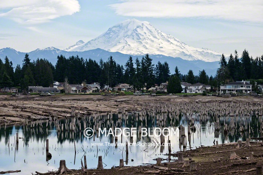 Mount Rainer Over Lake Tapps – Weekly Top Shot #170