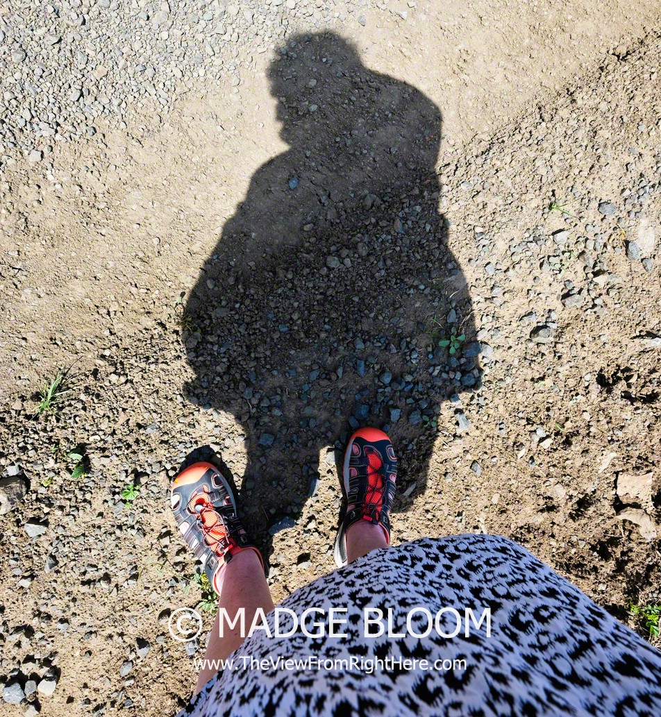 Me and My Shadow Selfie