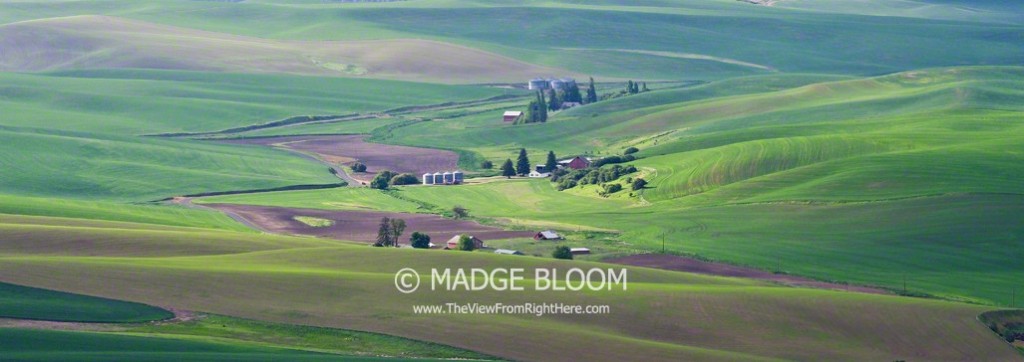 Wheat Fields and Farms from Steptoe Butte - Steptoe WA