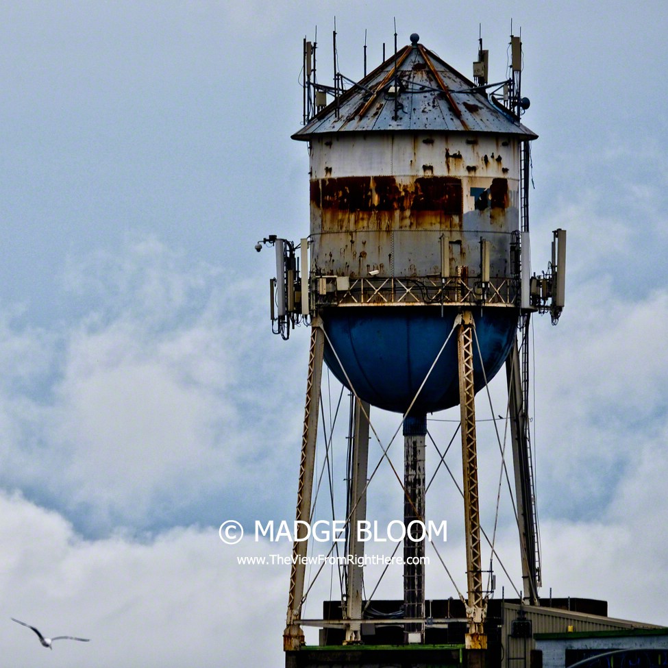 Old Water Tower – Weekly Top Shot #193