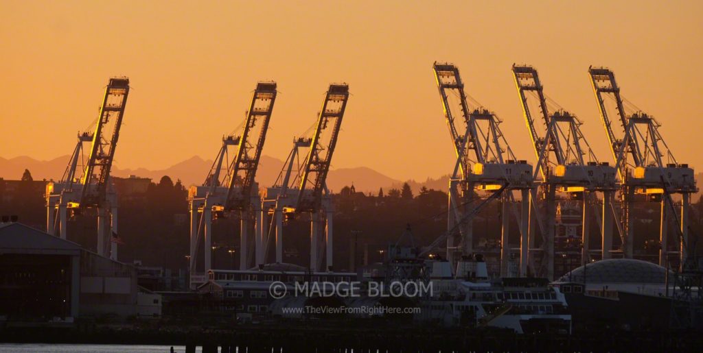 Terminal 18 and 37 Gantry Cranes - Seattle Waterfront