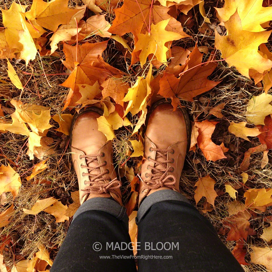 Autumn Walk – Weekly Top Shot #205