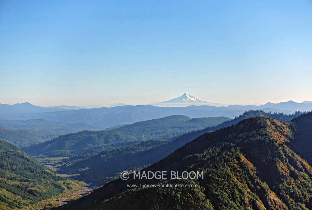 Mount Hood from Windy Ridge