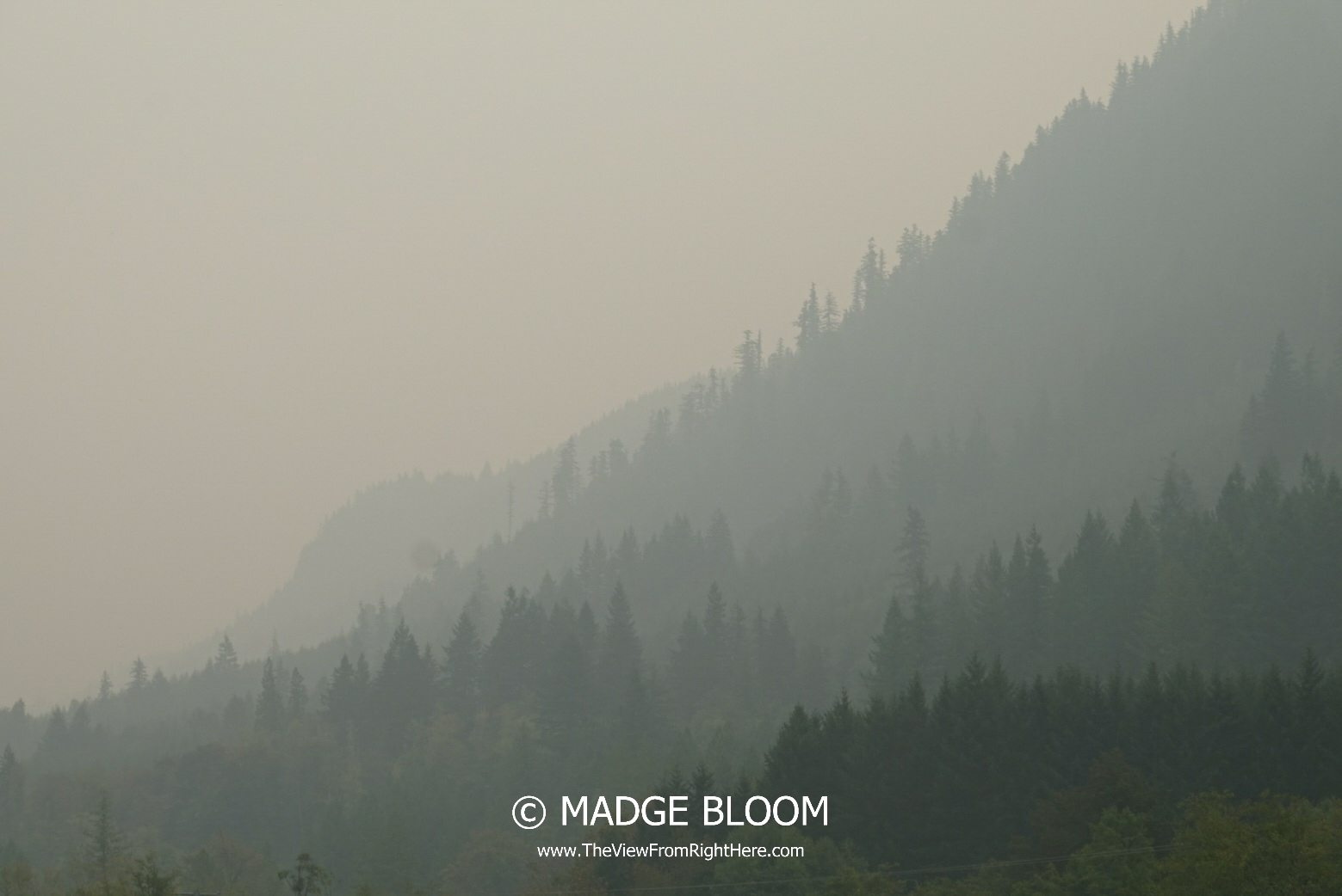 Wildfires and Smokey Skies